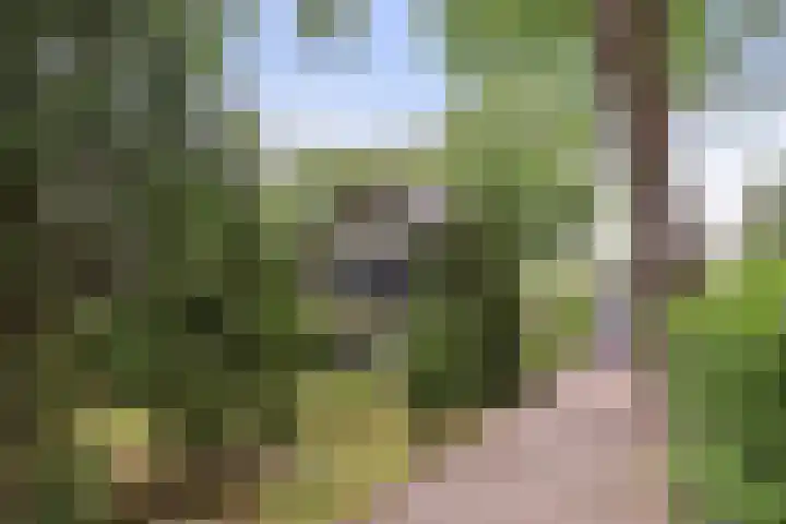 Albertlaan 8 Nunspeet thumbnail 52