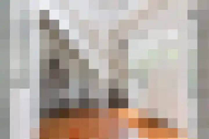 Albertlaan 8 Nunspeet thumbnail 8
