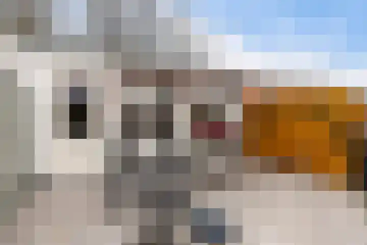 Albertstraat 15 Groningen thumbnail 44