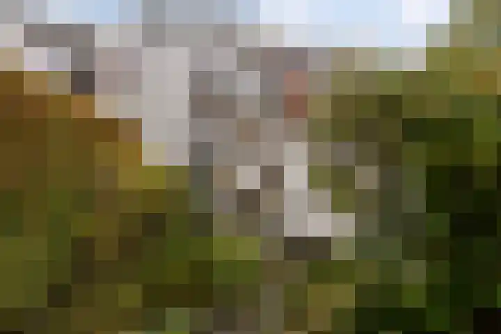 Albertstraat 15 Groningen thumbnail 59