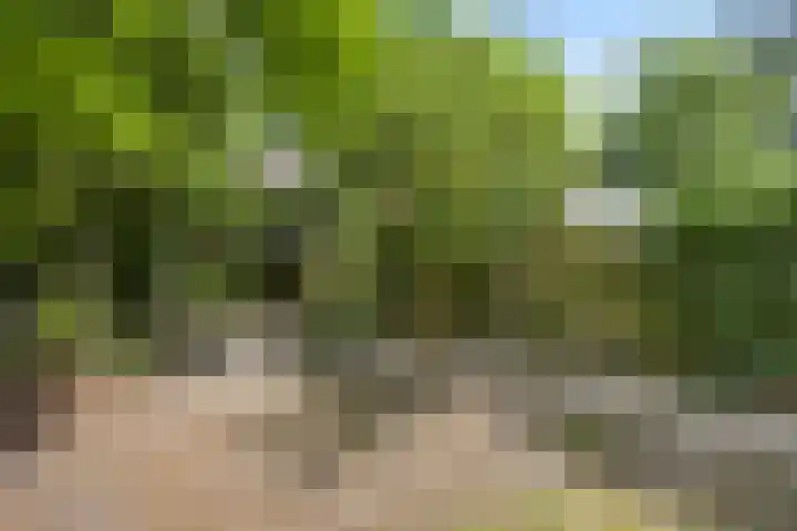 Albertusstraat 18 Vught thumbnail 15