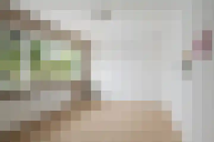 Alblas 12 Barendrecht thumbnail 20