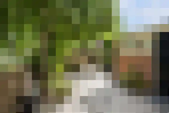 Alblas 12 Barendrecht thumbnail 30