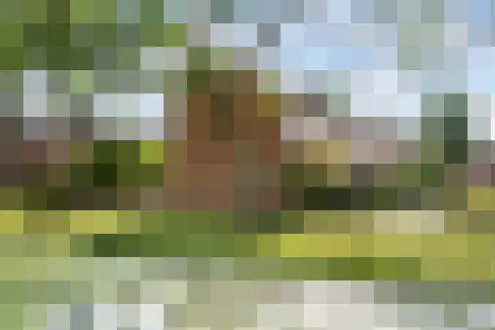 Alblas 12 Barendrecht thumbnail 33