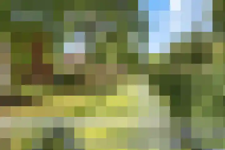 Alblas 12 Barendrecht thumbnail 35