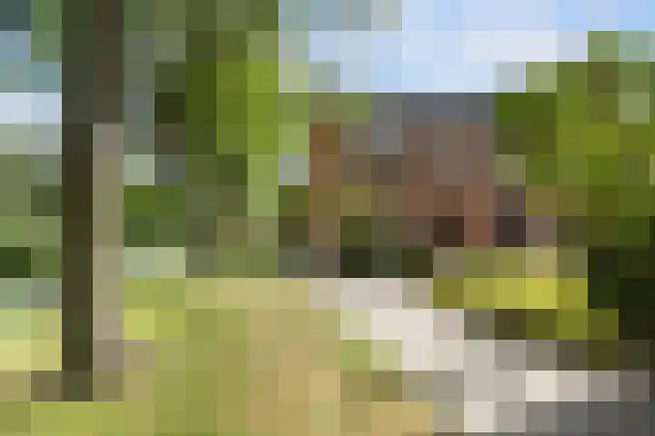 Alblas 12 Barendrecht thumbnail 5