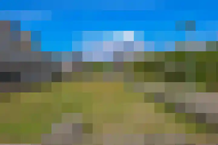 Albrecht Dürerweg 126 Almere thumbnail 30