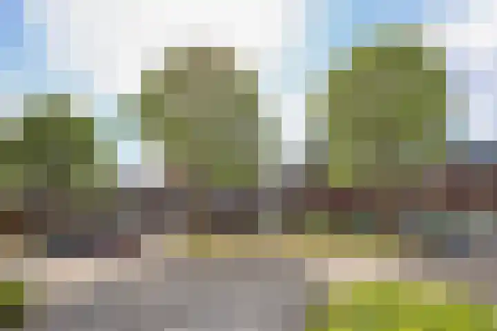 Albrecht Dürerweg 126 Almere thumbnail 31
