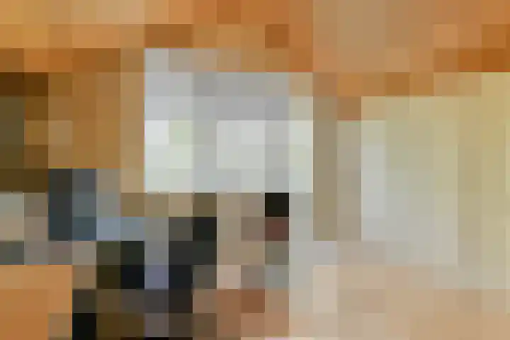 Albrechtsveld 52 Gouda thumbnail 21