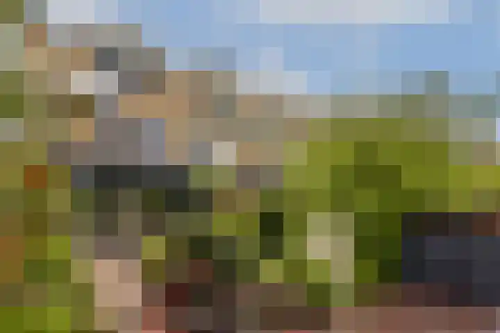 Albrechtsveld 52 Gouda thumbnail 29
