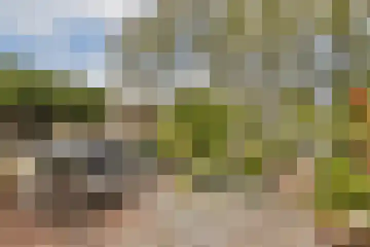 Albrechtsveld 52 Gouda thumbnail 30