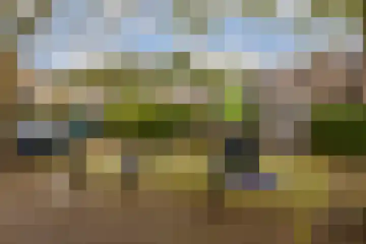 Albrechtsveld 52 Gouda thumbnail 32