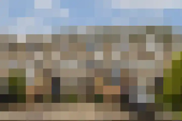 Albrechtsveld 52 Gouda thumbnail 5