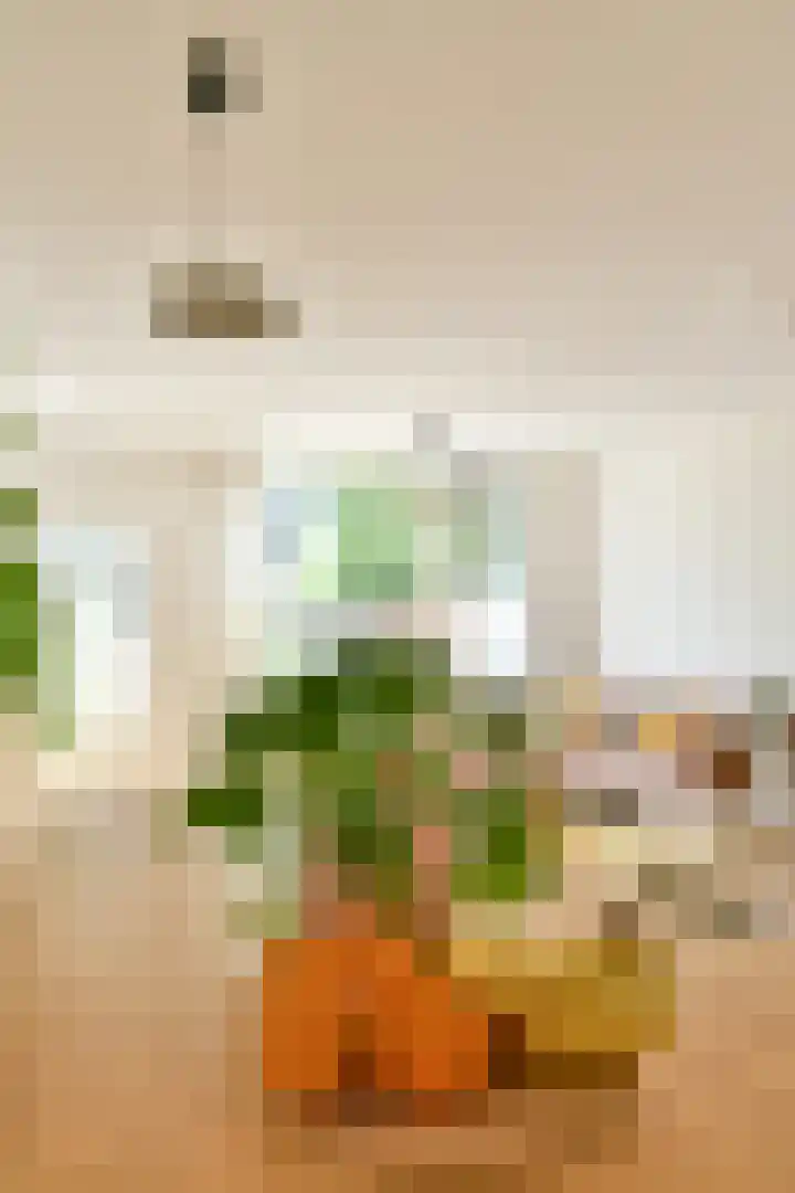 Albrechtsveld 73 Gouda thumbnail 10