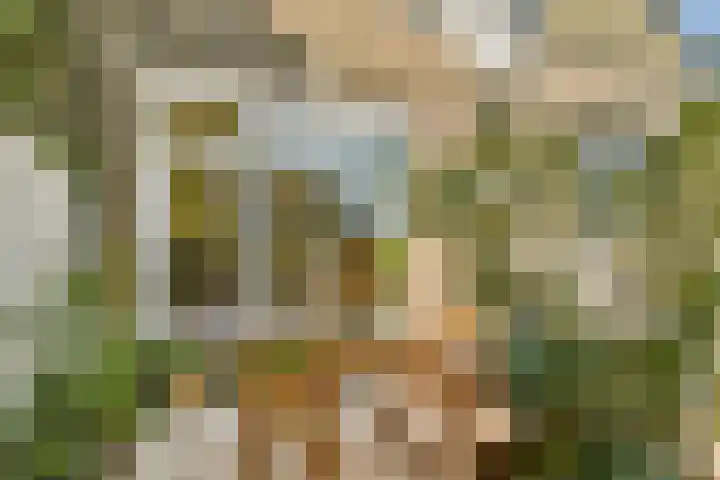 Albrechtsveld 73 Gouda thumbnail 30