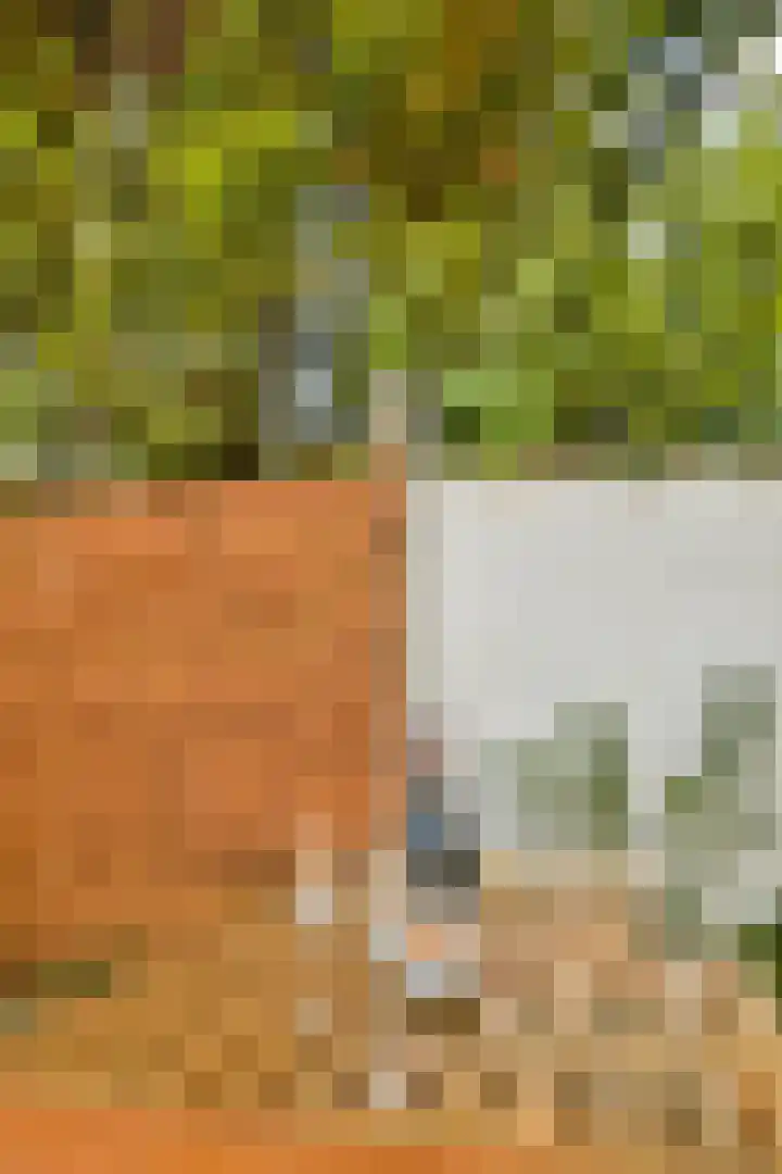 Albrechtsveld 73 Gouda thumbnail 32