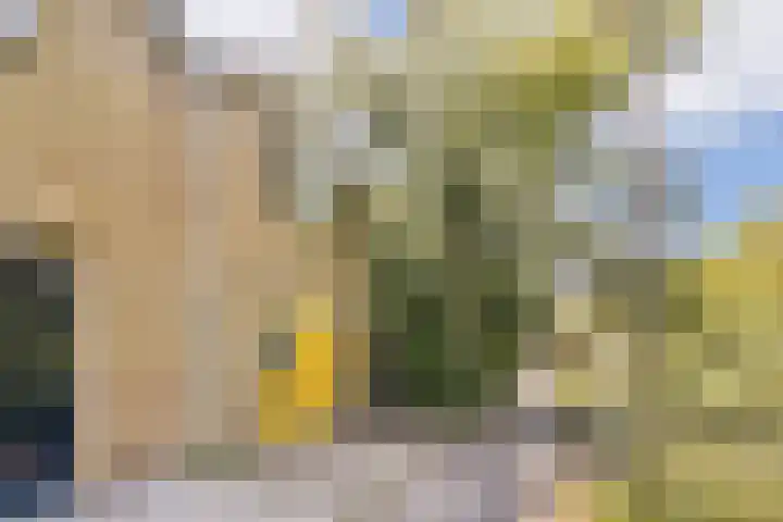 Albrechtsveld 73 Gouda thumbnail 39