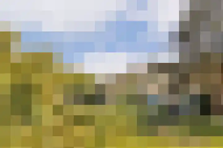 Albrechtsveld 73 Gouda thumbnail 5