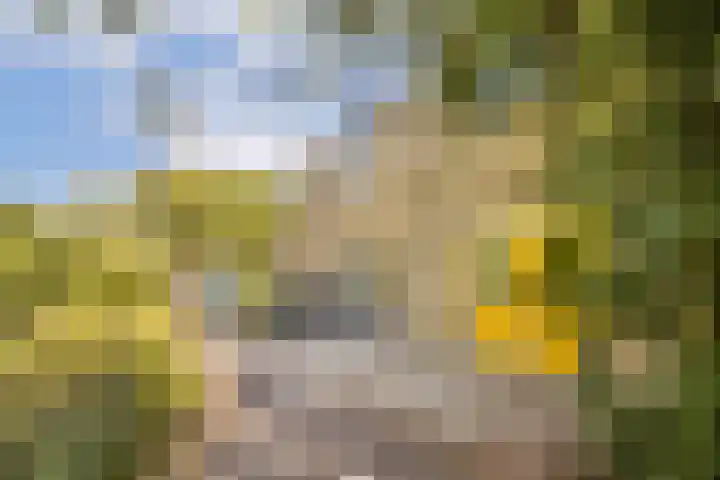 Albrechtsveld 73 Gouda thumbnail 6
