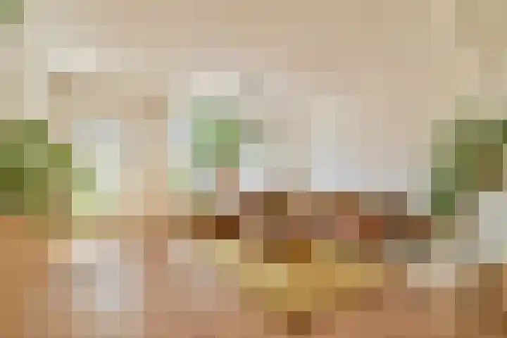 Albrechtsveld 73 Gouda thumbnail 7