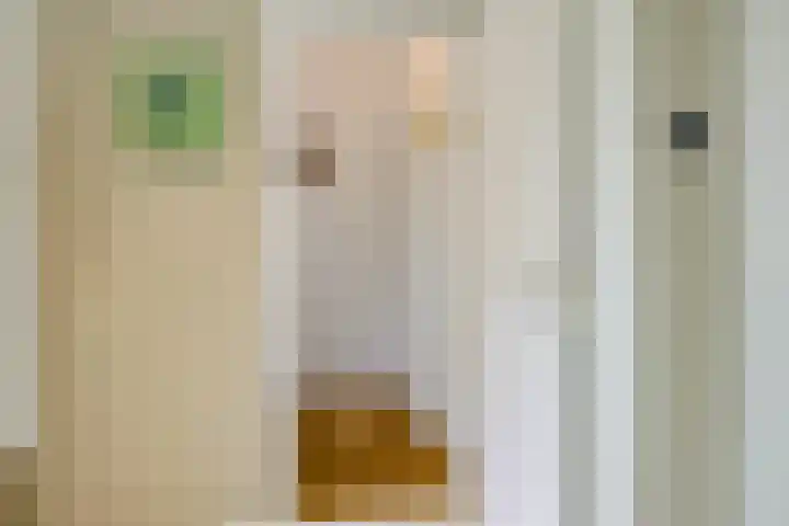 Alcorstraat 21 Rotterdam thumbnail 13
