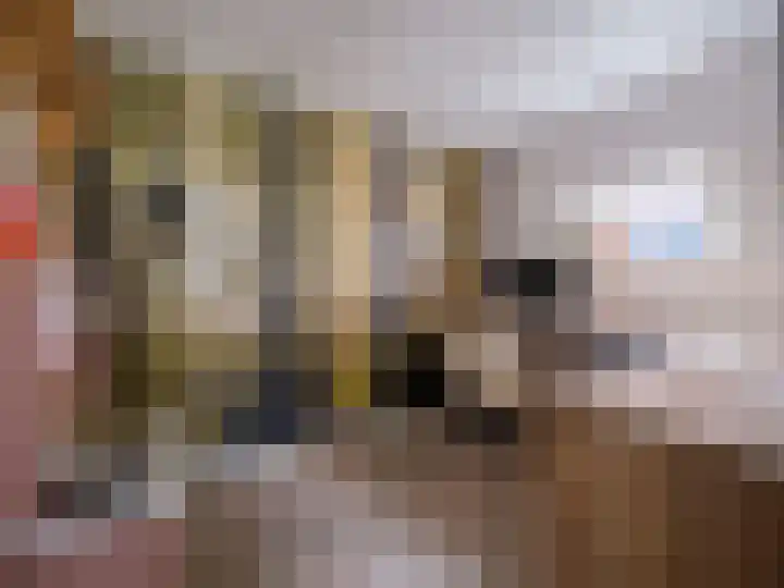 Alde Hamsterwei 9 Kootstertille thumbnail 15