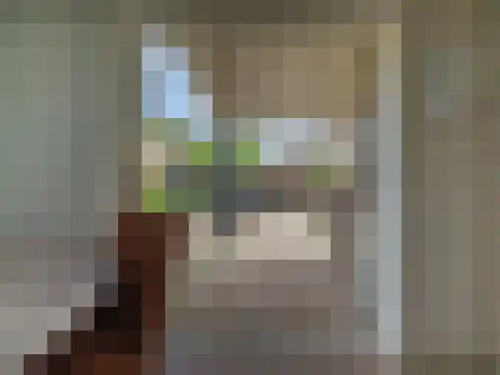 Alde Hamsterwei 9 Kootstertille thumbnail 20