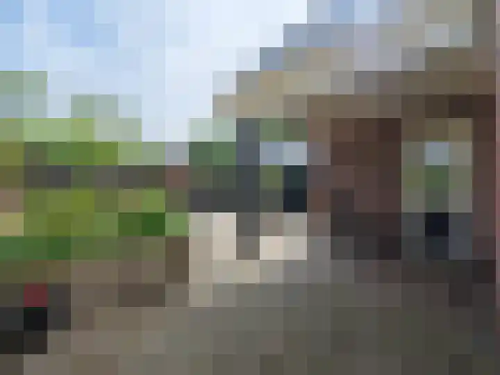 Alde Hamsterwei 9 Kootstertille thumbnail 21