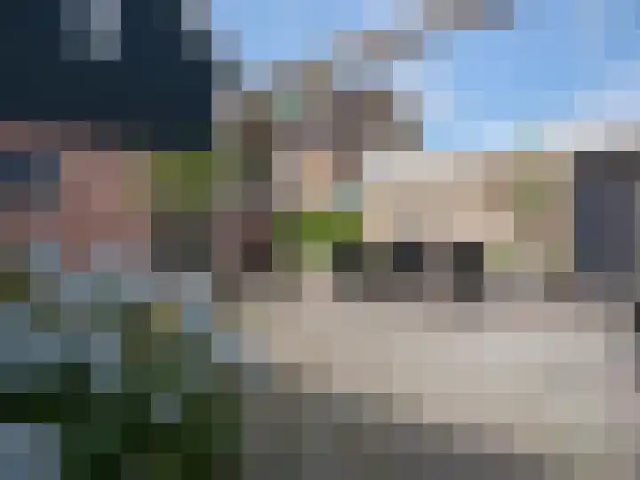 Alde Hamsterwei 9 Kootstertille thumbnail 22