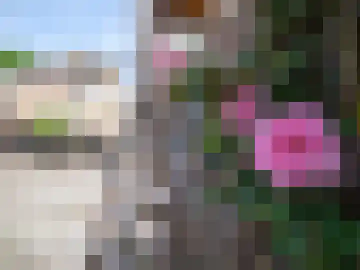 Alde Hamsterwei 9 Kootstertille thumbnail 23