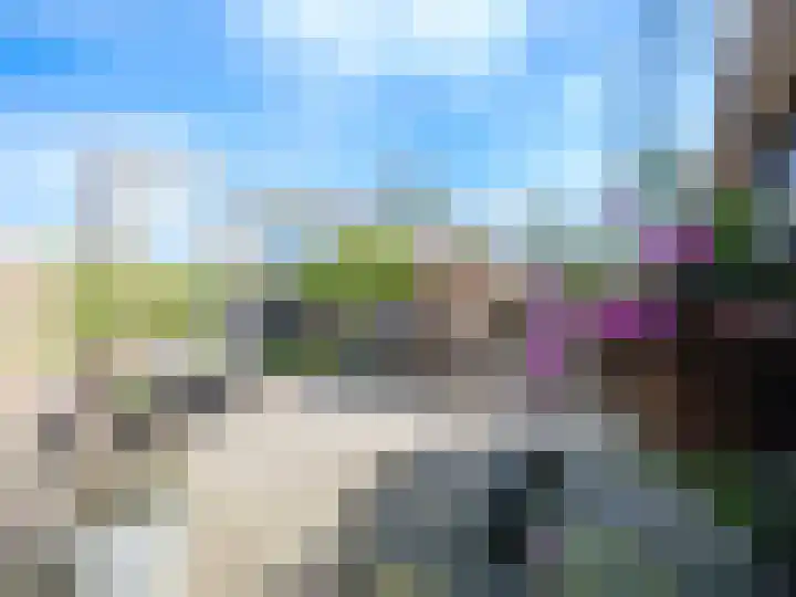 Alde Hamsterwei 9 Kootstertille thumbnail 24
