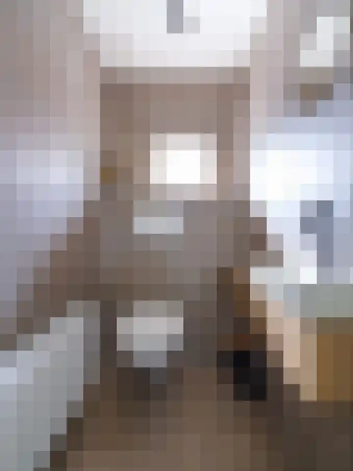Alde Hamsterwei 9 Kootstertille thumbnail 28