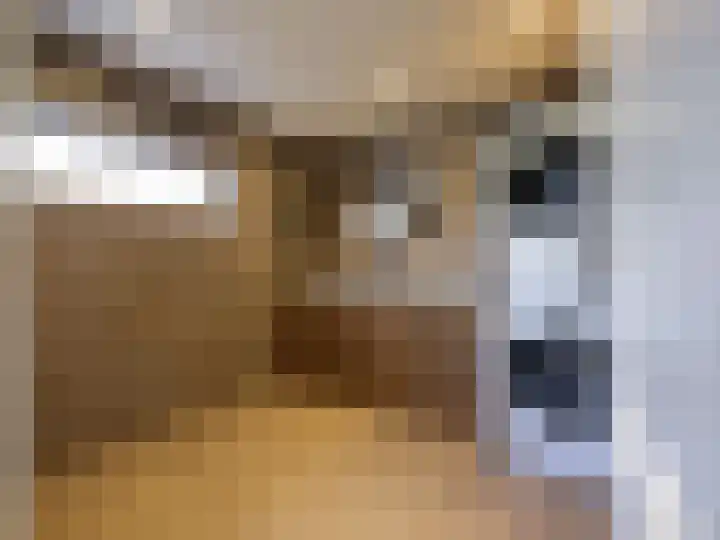 Alde Hamsterwei 9 Kootstertille thumbnail 29