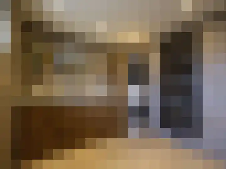 Alde Hamsterwei 9 Kootstertille thumbnail 31