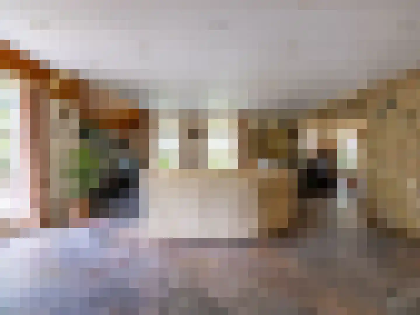 Alde Wei 2 Drachtstercompagnie thumbnail 12