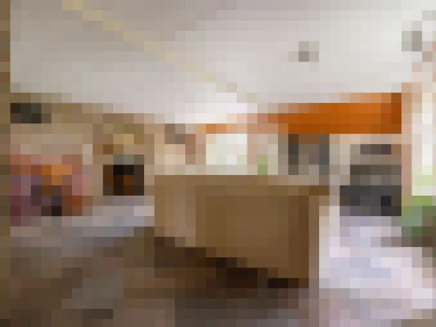 Alde Wei 2 Drachtstercompagnie thumbnail 17