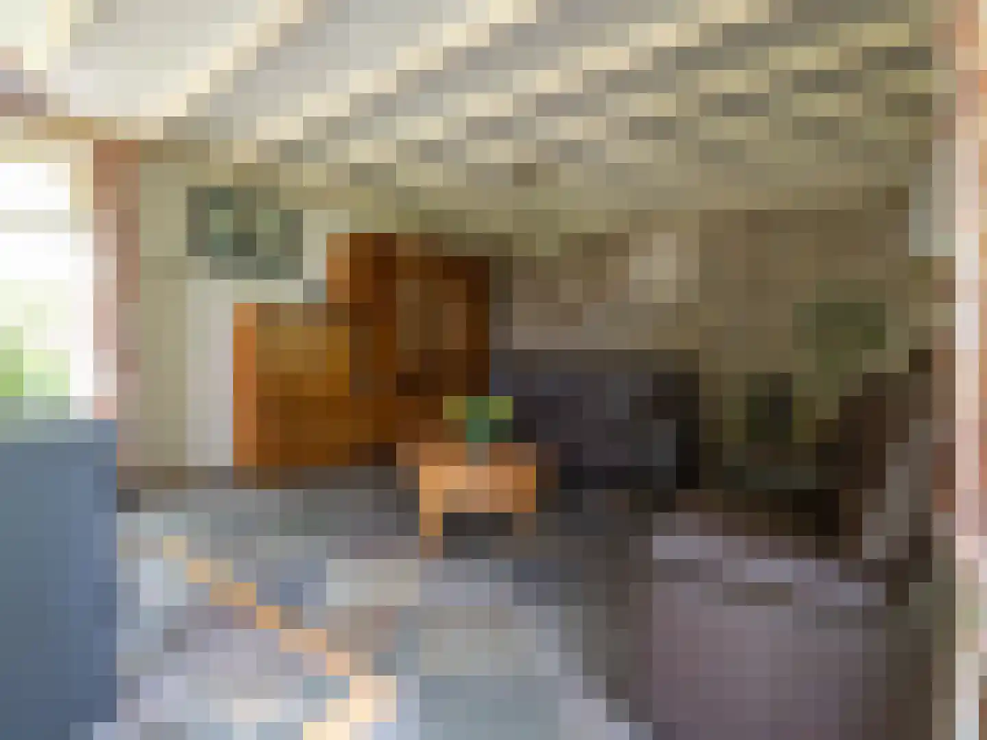 Alde Wei 2 Drachtstercompagnie thumbnail 18