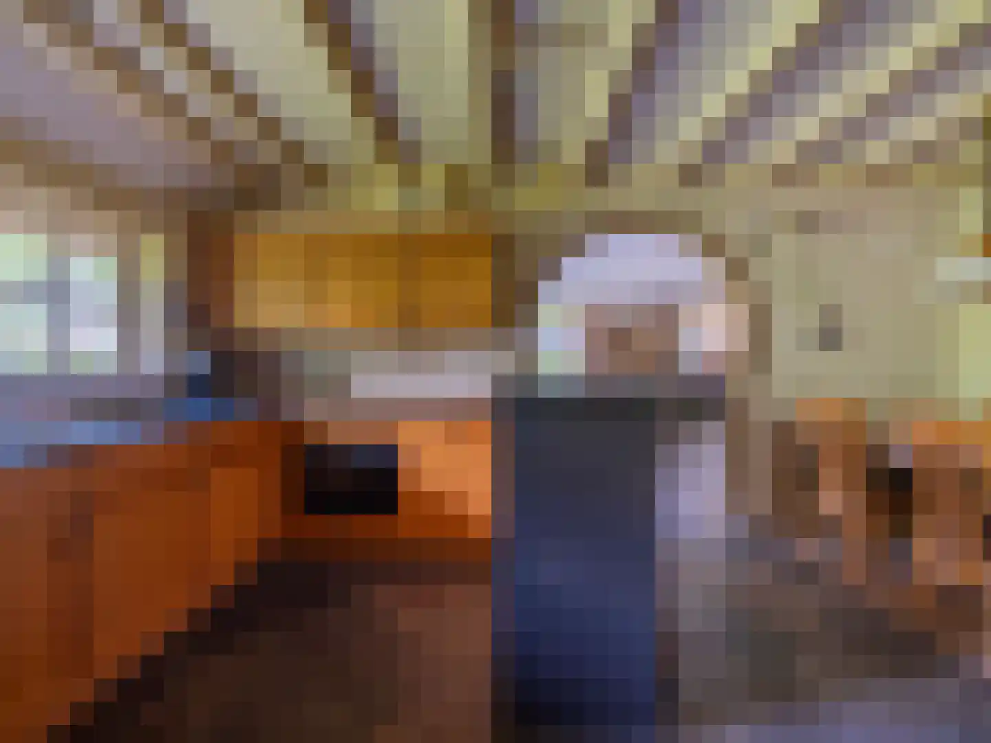 Alde Wei 2 Drachtstercompagnie thumbnail 19