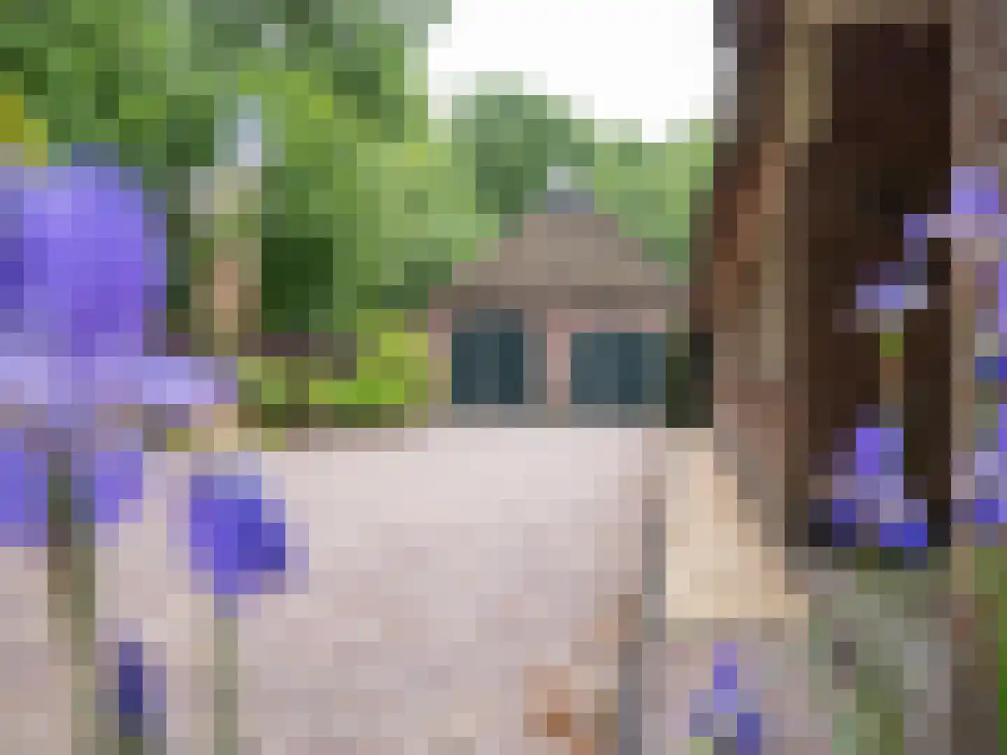 Alde Wei 2 Drachtstercompagnie thumbnail 4