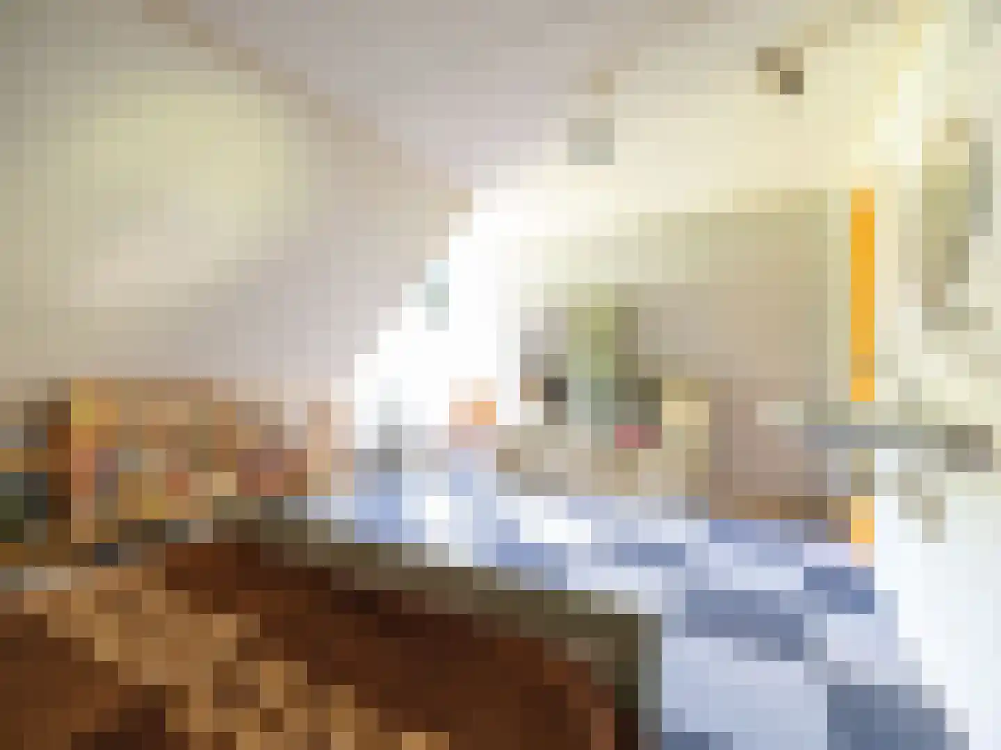 Alde Wei 2 Drachtstercompagnie thumbnail 46