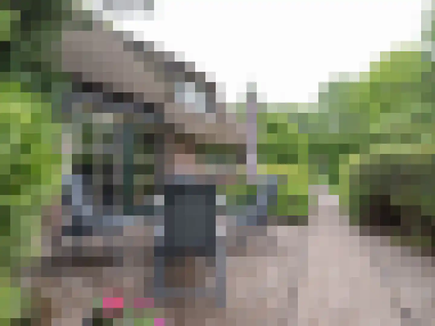 Alde Wei 2 Drachtstercompagnie thumbnail 5