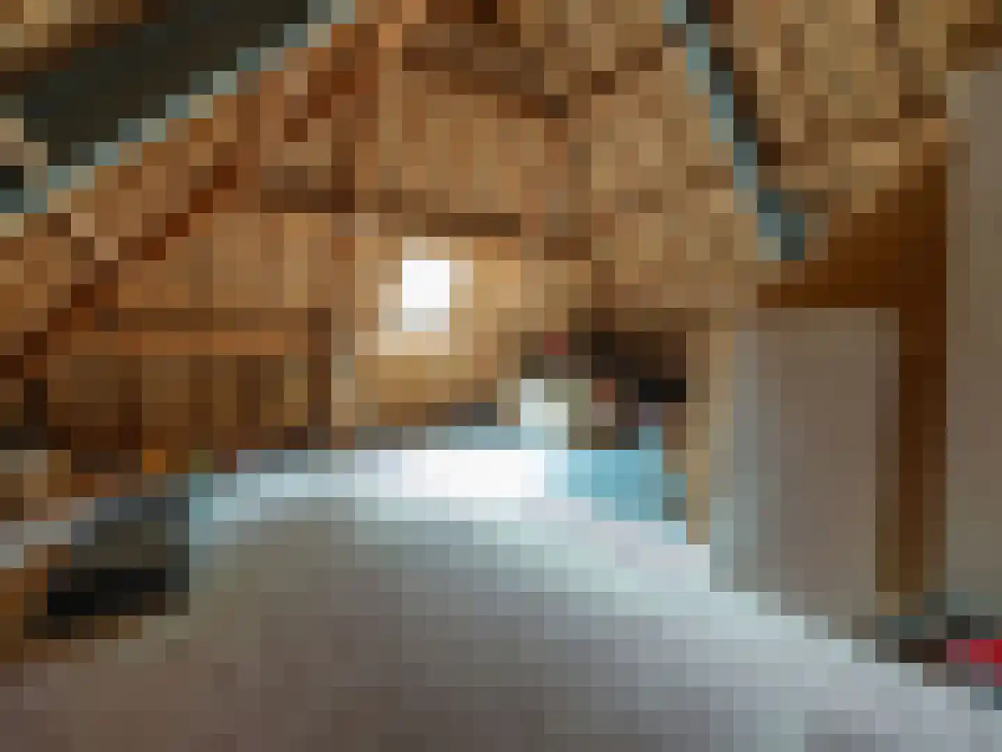 Alde Wei 2 Drachtstercompagnie thumbnail 53