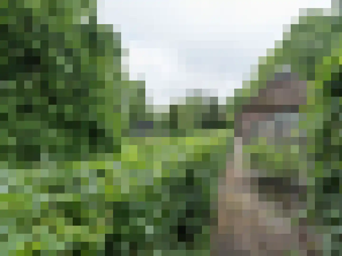 Alde Wei 2 Drachtstercompagnie thumbnail 63