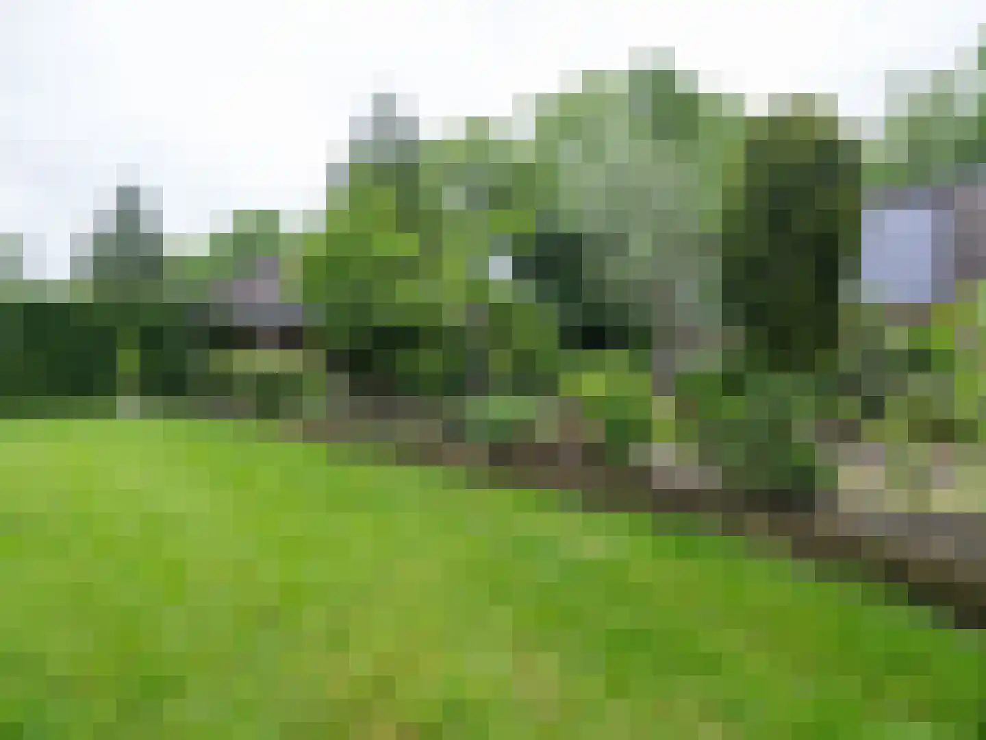 Alde Wei 2 Drachtstercompagnie thumbnail 68