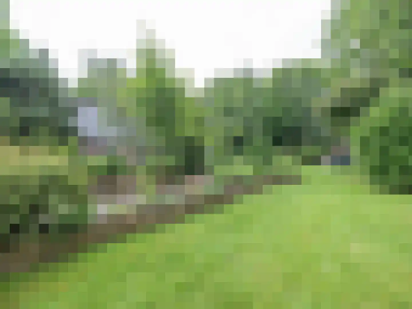 Alde Wei 2 Drachtstercompagnie thumbnail 70