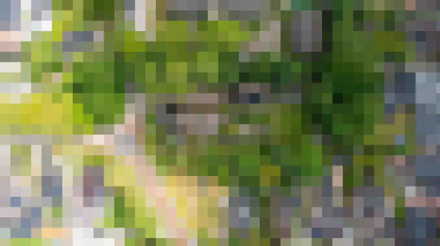Alde Wei 2 Drachtstercompagnie thumbnail 72