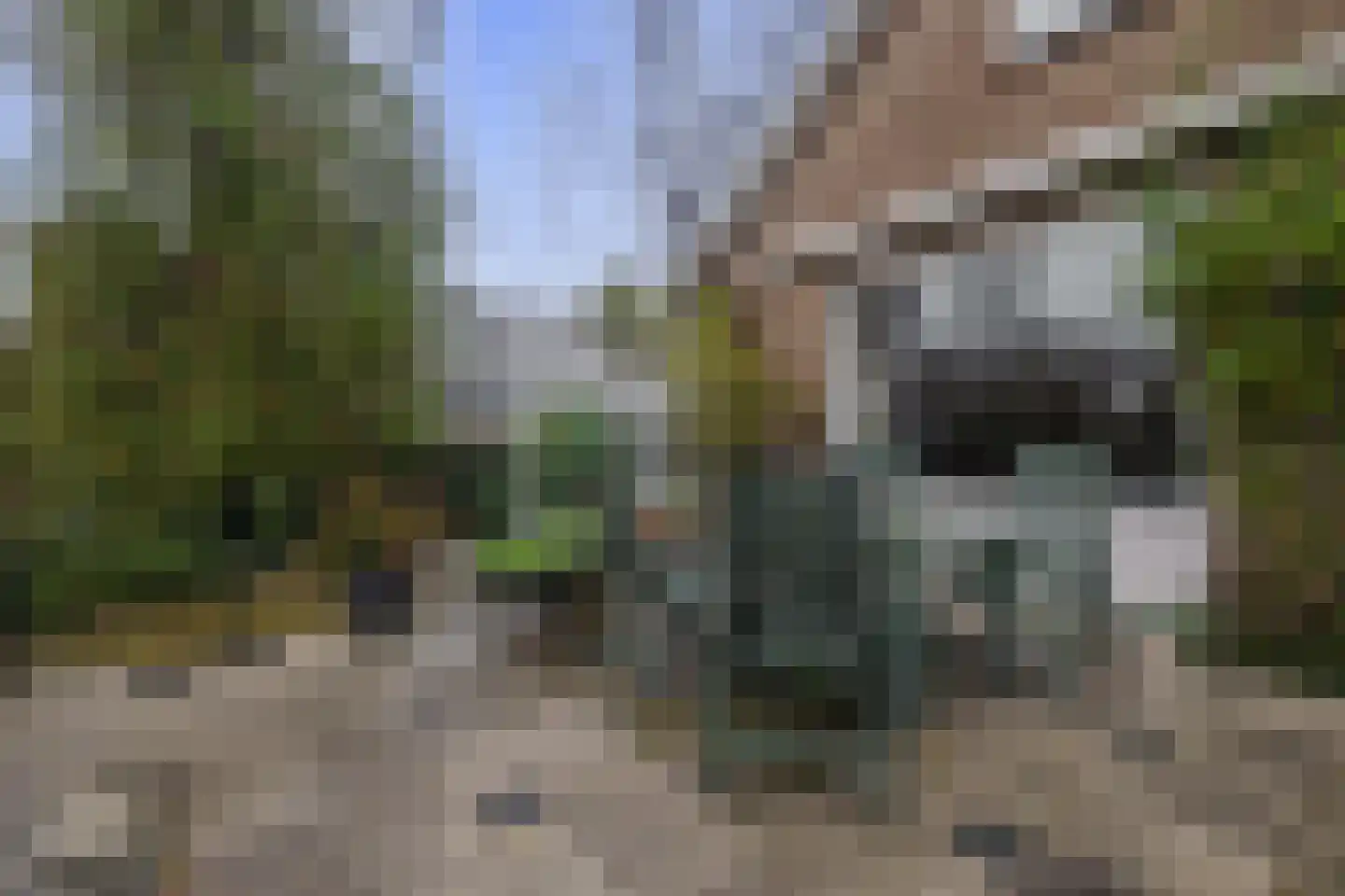 Aldebaran 24 Lemmer thumbnail 26
