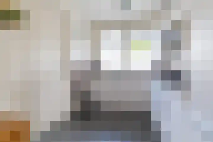 Aldebaran 24 Lemmer thumbnail 37