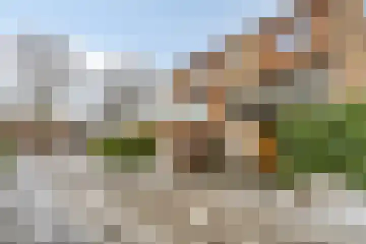 Aldebaranstraat 24 Groningen thumbnail 43