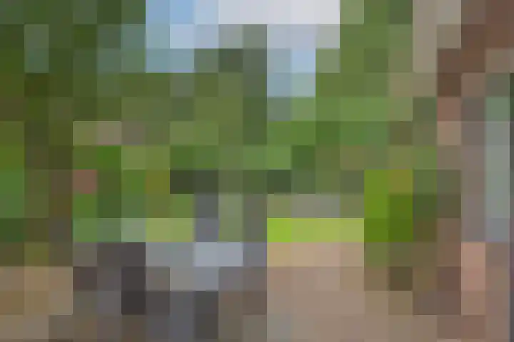 Aldengoor 6 Almelo thumbnail 29